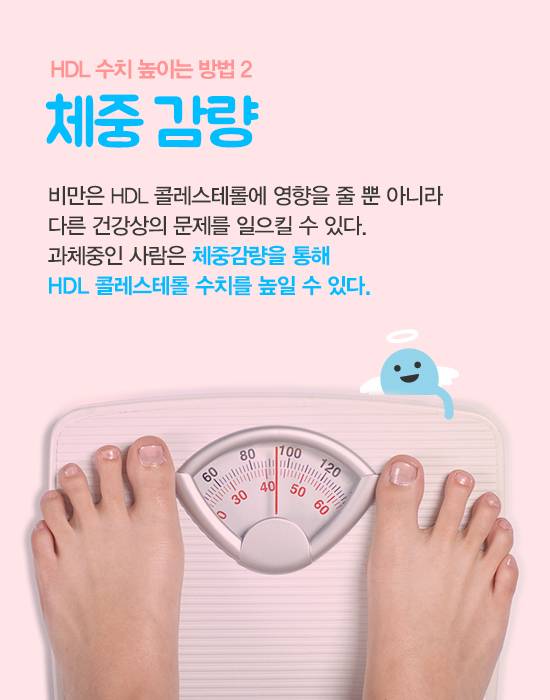 좋은 콜레스테롤 HDL 수치 높이는 방법 7