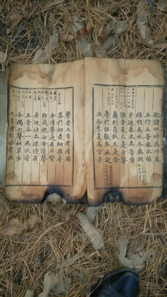 배익기씨가 10일 <훈민정음 혜례본 상주본> 일부를 찍은 것이라며 공개한 사진. 배익기씨 제공