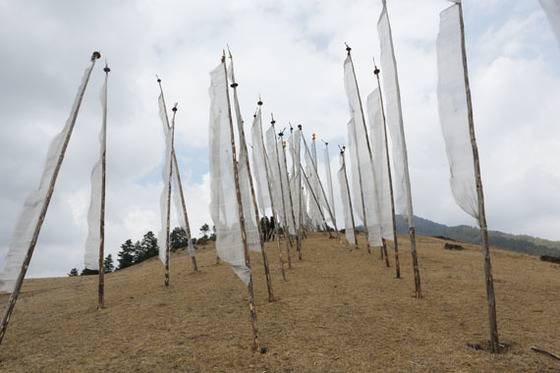 불교국가인 부탄은 윤회를 믿는다. 그래서 살아있는 동물을 죽이지 않는다.부탄의 산과 언덕에 꽂힌 흰 룽다는 장례식장을 의미한다.