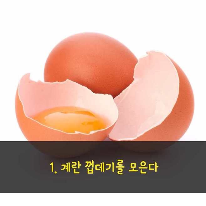 하얀 신발 깨끗이 세탁하는 법