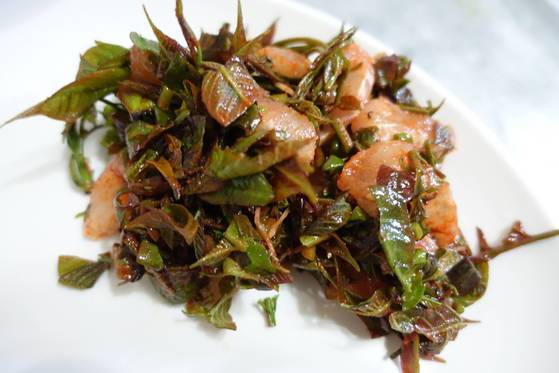 생옻순광어회무침: 생옻순을 종종 썰어 광어회와 초고추장무침을 했다. 돼지고기와 옻순의 조합 다음으로 독성이 활발한 상태다. 옻을 타지 않는 게 확실하지 않은 사람은 먹지 않는 편이 좋다.