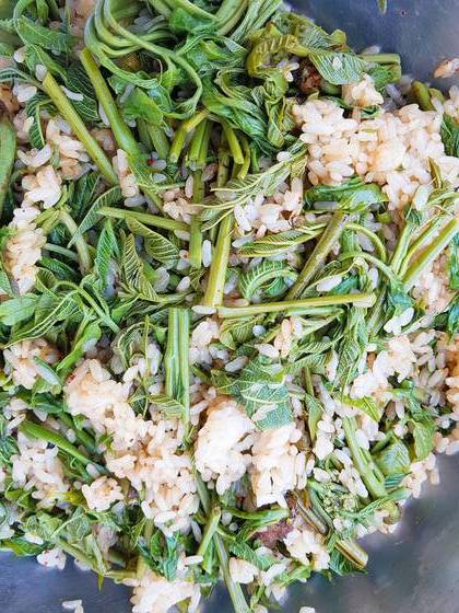 옻순비빔밥: 옻나무를 우린 물로 밥을 짓고 데친 옻순을 잘라 넣은 다음 들기름과 간장을 넣고 비볐다. 옻 철이 아닐 때는 옻순장아찌나 건옻순을 불려서 무친 다음 밥과 비벼도 좋다.  장민영 식재료연구가