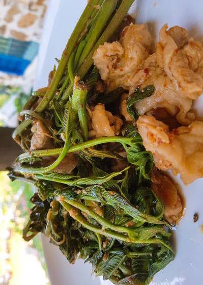 옻순닭고기두루치기: 옻은 닭과 궁합이 잘 맞는다. 뼈 없는 닭고기를 핏기를 뺀 다음 들기름에 볶다가 반쯤 익으면 생 옻순을 넣고 닭 기름을 이용해 볶으면서 간장, 고춧가루, 다진 마늘로 양념을 한다. 양파나 대파, 버섯 등을 더 넣어도 좋다. 장민영 식재료연구가