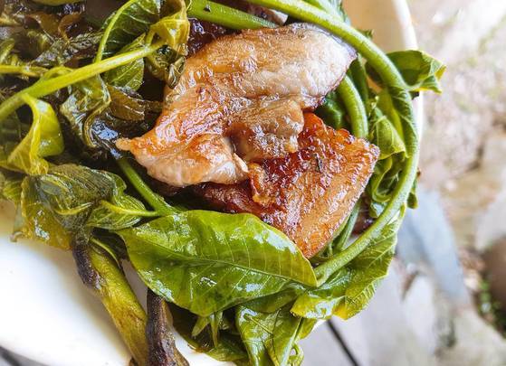 옻순삼겹살구이: 옻순과 돼지고기가 성질로는 상극이라지만 맛 궁합은 잘 맞는다. 옻순 줄기의 단맛과 삼겹살 기름기가 잘 어울려 이날 먹은 옻순 음식 중 최고로 꼽는 사람이 많았다. 장민영 식재료연구가