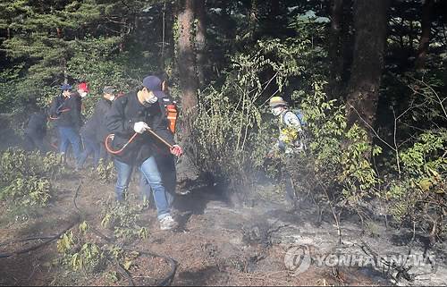 (강릉=연합뉴스) 7일 강원 강릉시청 직원들이 성산면 산불 지역에서 잔불 제거 작업을 벌이고 있다. 2017.5.7 [강릉시청 제공=연합뉴스]      yoo21@yna.co.kr