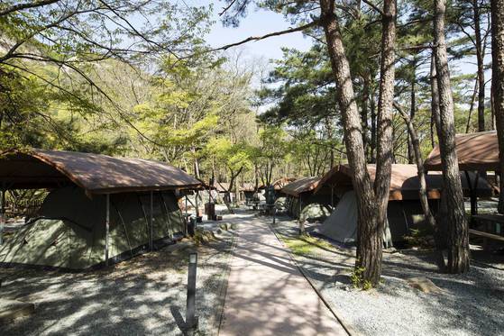 풀옵션 야영장은 장비 부담이 없어 누구나 이용할 수 있다. 장진영 기자