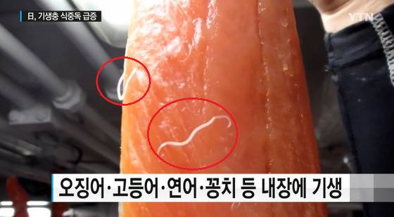 [사진 YTN 보도화면 캡처]