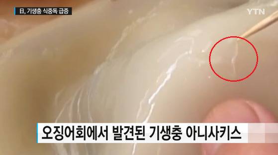 [사진 YTN 보도화면 캡처]