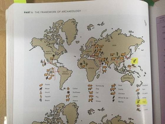 세계적인 고고학 개론서인 『고고학(Archaeology)』에 한국이 쌀의 기원지로 표기돼 있다. 한국에서는 2006년 『현대 고고학의 이해』로 번역 출판됐다. 최종권 기자