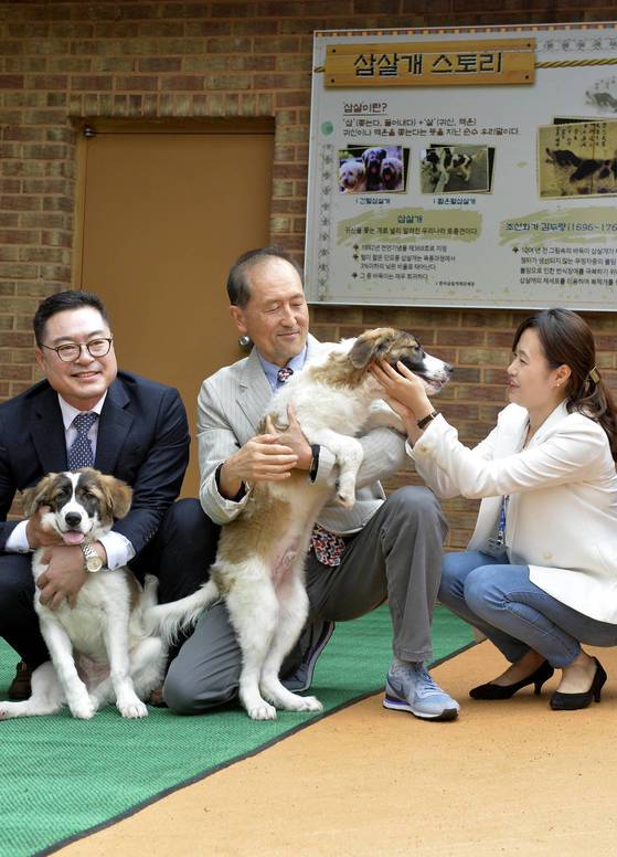 김민규 교수(왼쪽)등 연구팀이 24일 오월드에서 얼룩삽살개를 돌보고 있다. 프리랜서 김성태