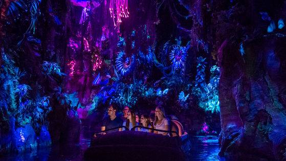 27일(현지시간) 문여는 '판도라: 더 월드 오브 아바타'의 모습. 관객들은 영화 '아바타'의 배경이 된 '판도라' 행성을 생생하게 체험할 수 있다. [사진 디즈니]