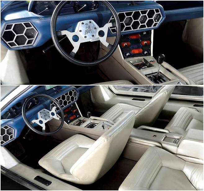 '마르잘'의 실내