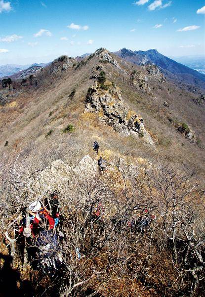 [월간산]시살등 방향에서 바라본 영축산. 암봉이 연이어지는 험한 능선이다.