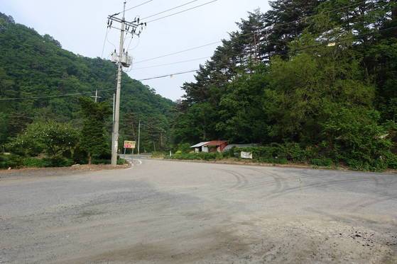 국도 56호선 서울 방향 길. 숲 아래 비닐하우스 있는 곳이 ‘오대산 내고향’ 주인 부부가 시어머니 모시고 여섯 동생과 신혼살림을 하던 자리다. 빨간 지붕 건물은 외양간이었다.