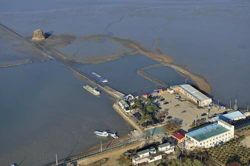 [백미리 어촌계 제공 = 연합뉴스]