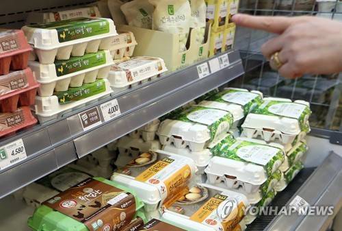 (서울=연합뉴스) 이지은 기자 = 고병원성 조류인플루엔자(AI)가 전국으로 확산할 조짐을 보이면서 계란과 닭고기 가격이 다시 요동치고 있다. 6일 오후 서울시내 대형마트에서 한 고객이 계란을 고르고 있다. 2017.6.6      jieunlee@yna.co.kr