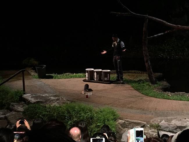 귀여운 수달의 분리수거