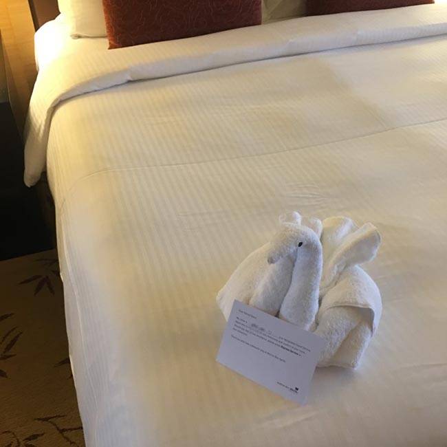 환영의 뜻으로 수건으로 백조를 접어줬다. 검정색으로 눈도 붙여줬다