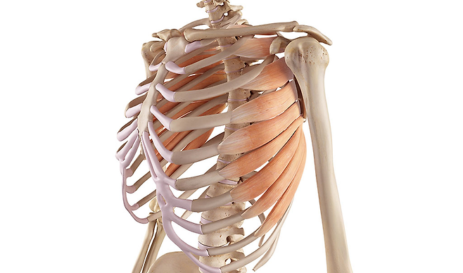 전거근 ©&nbsp;유재욱 제공​