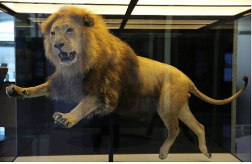 [국립낙동강생물자원관 제공=연합뉴스]