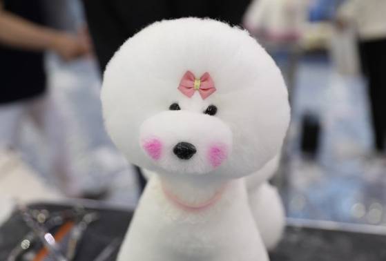 17일 열렸던 한 애견아트 미용대회의 출품작. (모형입니다.) [사진 펫토스 블로그]