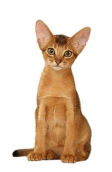 사진=핀터레스트