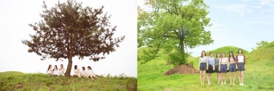 일반인들 사이 화보 촬영이 열풍이다/사진=한지연기자