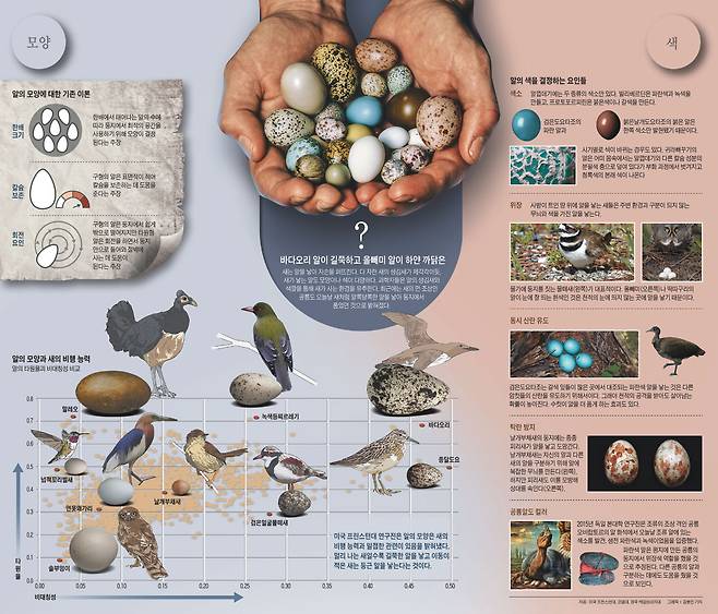 자료: 미국 프린스턴대, 코넬대, 영국 케임브리지대 / 그래픽= 김충민 기자