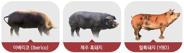 /한돈 홈페이지, 마켓컬리