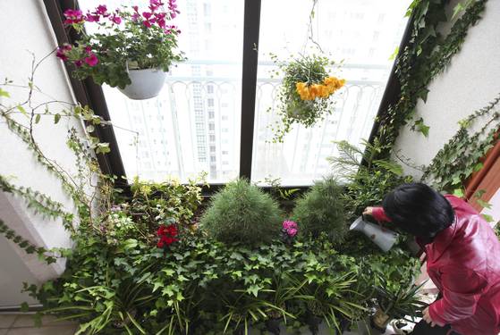집 베란다에서 화초를 가꾸고 있는 한 중년 여성의 모습. 이러한 화초 가꾸기, 독서, 낚시 등 꾸준한 취미활동에 나서는 중장년층 1인 가구는 상대적으로 우울감을 덜 겪는 것으로 나타났다. [중앙포토]
