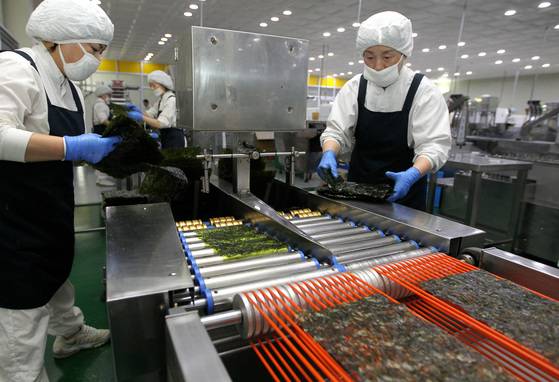 조미김 생산과정. [중앙포토]