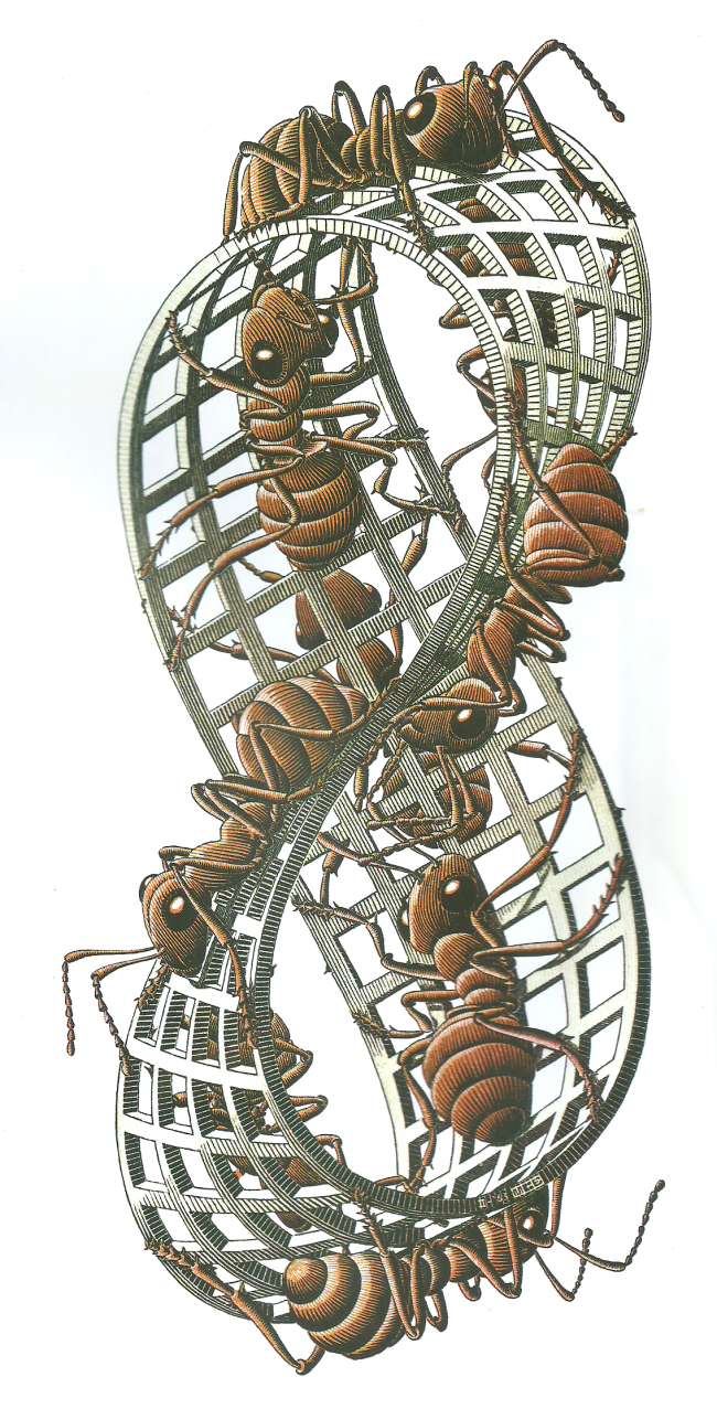 Maurits Cornelis Escher, Moebius band 2, 68×50㎝, 1963, woodcut [사진제공=세종문화회관]