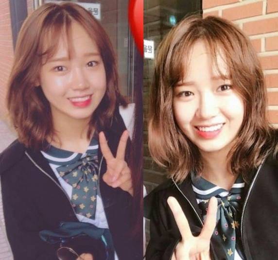최유정