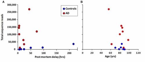 ['노화 신경과학의 선구자들'(FAN)에 실린  영국 브리스톨대학 데이비드 에머리 박사 팀 논문 캡처]