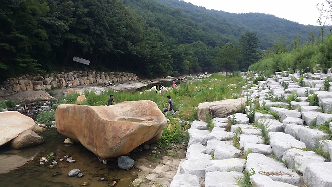 작천정 주변 별빛야영장 아래에서 피서객들이 상류가 오염된 물인지도 모르고 멱을 감고 있다. ⓒ 김완식 기자