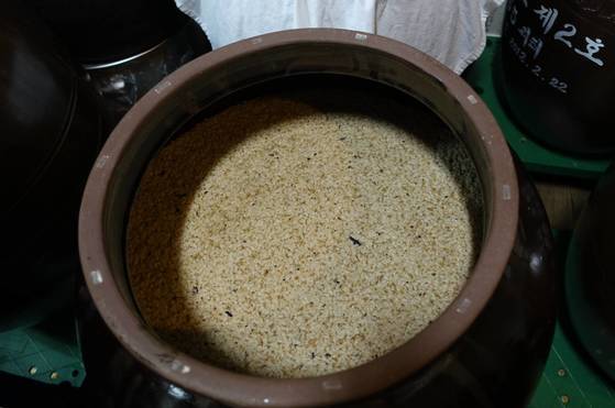 술독에서 익어가고 있는 석로주. 거뭇거뭇하게 보이는 것이 석이버섯이다. 술이 익을수록 석이는 서서히 녹아서 없어진다.