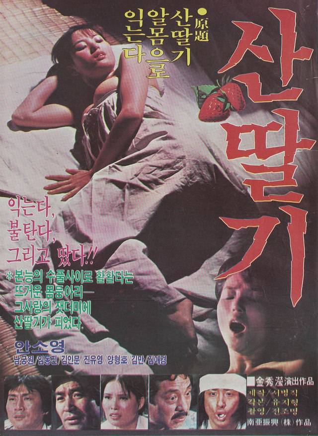 4 <산딸기> 1982년. 감독 김수형, 출연 안소영, 남궁원.
