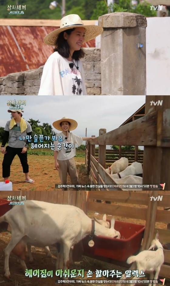 /사진=tvN 예능프로그램 '삼시세끼 바다목장편' 방송화면 캡처