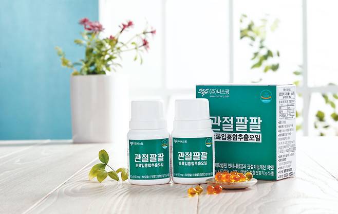 국내 최초로 식품의약품안전처로부터 ‘관절의 기능성’에 대한 개별인정을 획득한 원료인 초록입홍합 추출 오일로 만든 ‘씨스팡 관절팔팔’. / 조선일보 DB