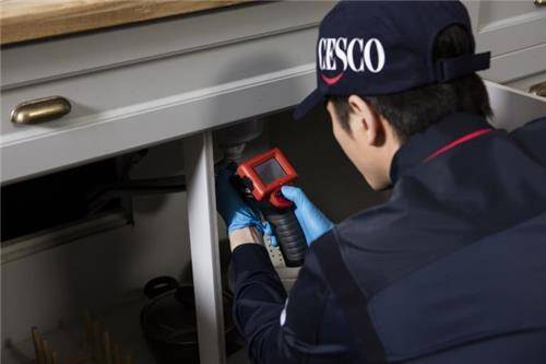 바퀴벌레 퇴치. 사진=세스코 제공