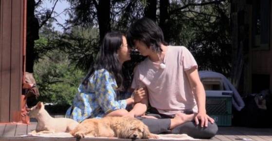 JTBC 인기 예능 프로그램 효리네 민박 스틸컷 [사진=JTBC 제공]