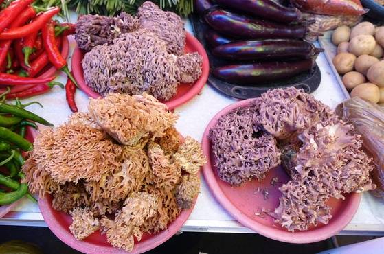 무게는 알 수 없지만 한 무더기 2만원을 불렀다. 지난 26일 오일장에서 품질과 양 대비 가격이 가장 비싼 싸리버섯이었다. 누렇게 색이 바랜 것은 잡싸리버섯 아니냐고 물으니 햇빛을 많이 받아서 그렇지 종류는 한 가지라고 했다.