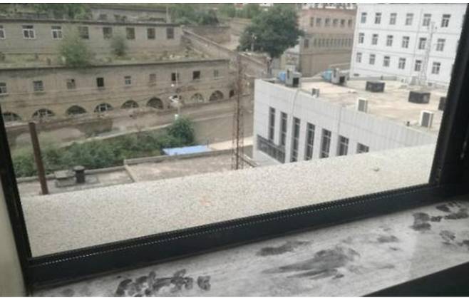 임산부가 뛰어 내린 병실 창문 - 제일경제보 갈무리
