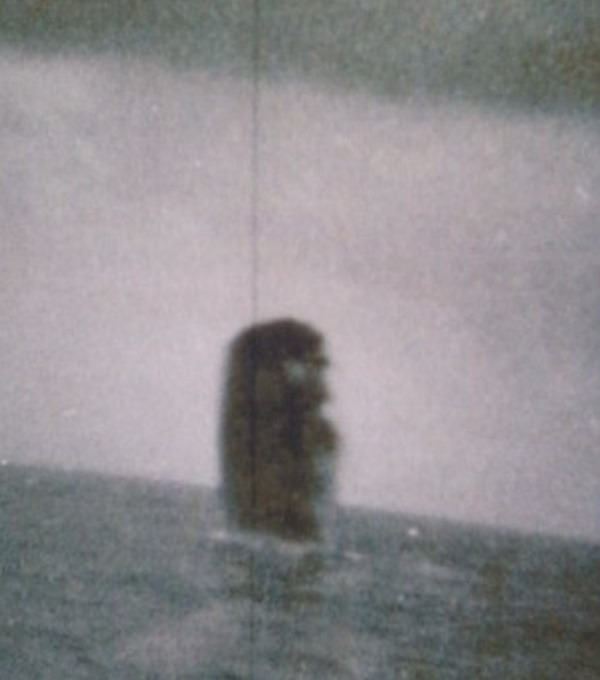 바다에 잠겨있는 듯한 모습의 UFO. 사진=미해군