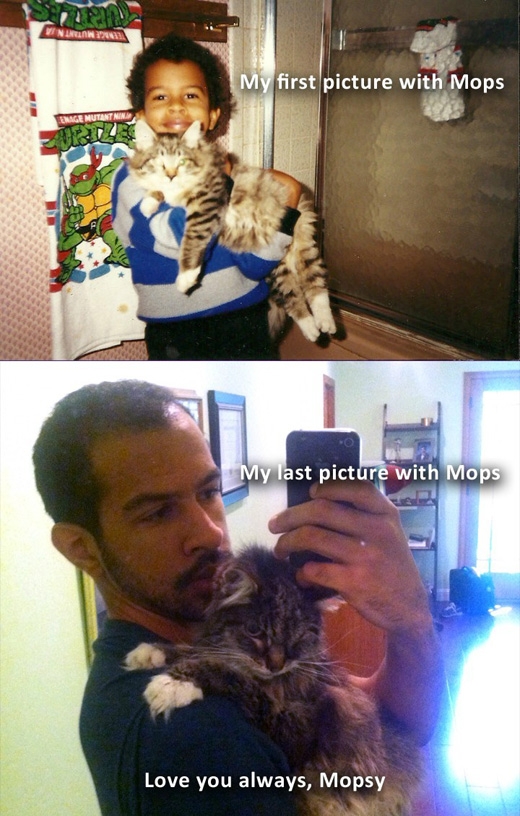 17. 내 고양이 모프시와 처음과 마지막에 찍은 사진.