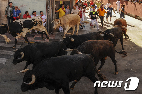 스페인 시민들이 소몰이 축제를 관전하고 있다. © AFP=뉴스1