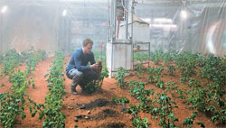 영화 ‘마션’에서 화성에 고립된 주인공 마크 와트니(배우 맷 데이먼)는 생존을 위해 식물을 재배한다.