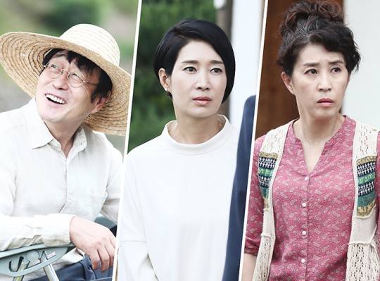 김창완, 나영희, 김미경 김창완, 나영희, 김미경