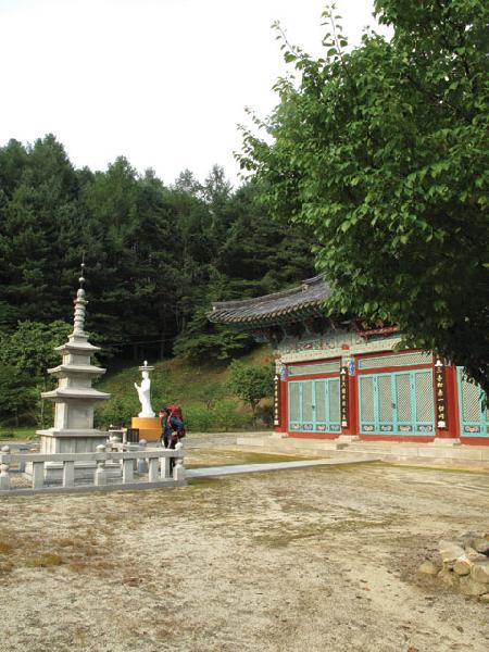 [월간산]정암사 대웅전. 절 뒤 잣나무 숲속에 360.5m봉에서 내려오는 길이 있다.