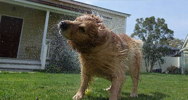 소니 RX100 마크4로 촬영한 사진